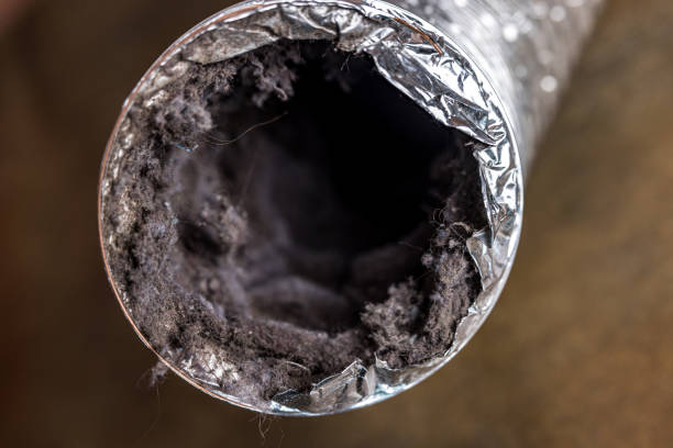 Best Air Duct Sanitizing Services  in Snow Hill, MD